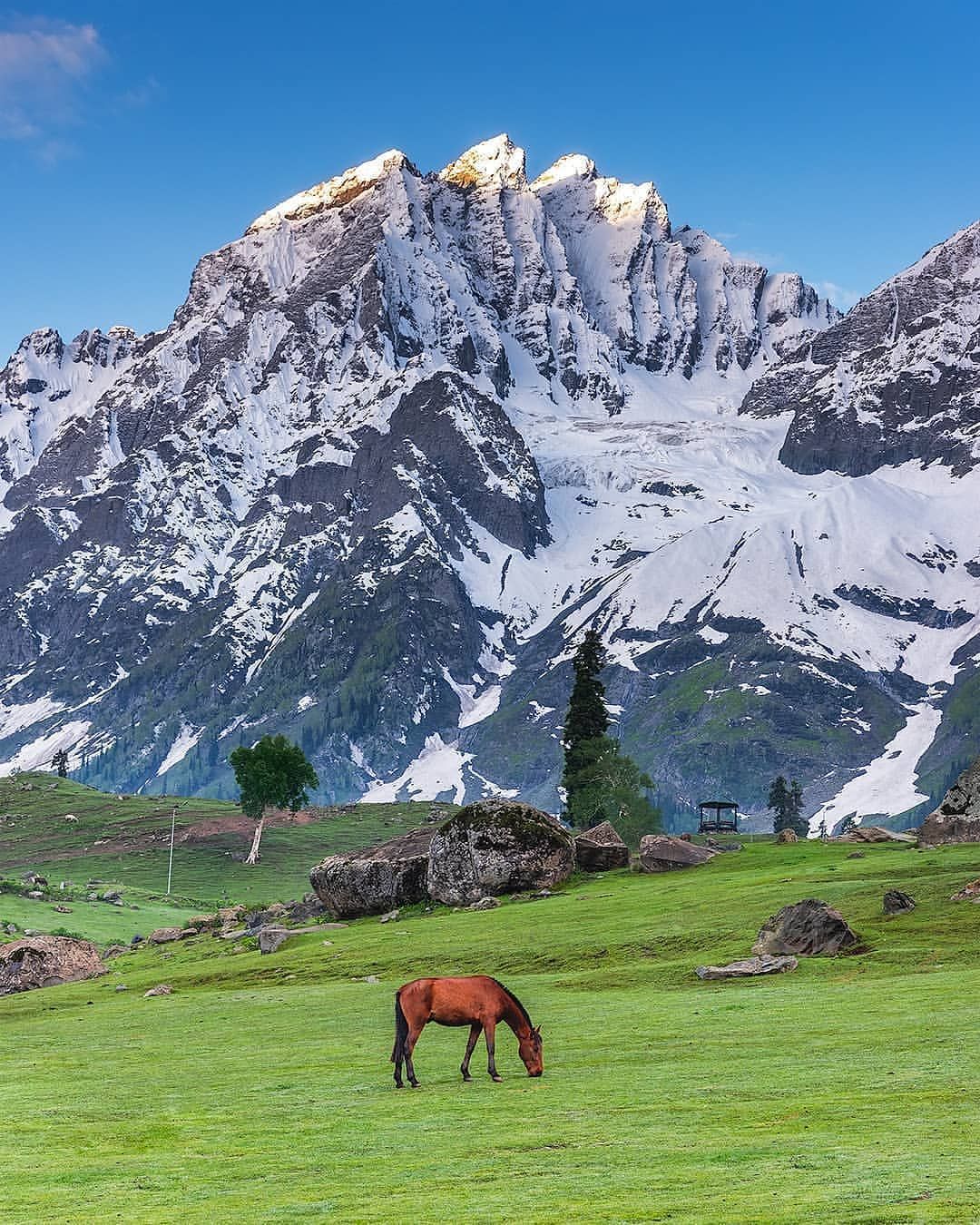 sonamarg1